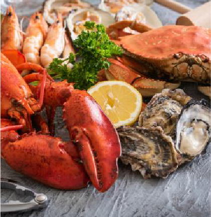 Fresh food ingredients